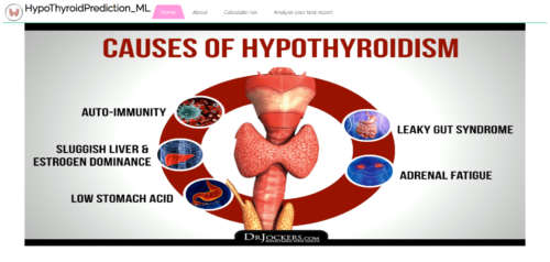 Hypo Thyroid Disease Prediction Machine Learning Project - Image 2