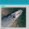 Forest wildfire detection