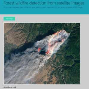 Forest wildfire detection