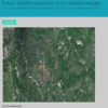 Forest wildfire detection