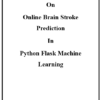1 Brain Strock Prediction Python Machine Learning Project Report