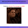 SMS Spam Detection Machine Learning Project