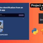 Image-Based Bird Species Identification Using Machine Learning
