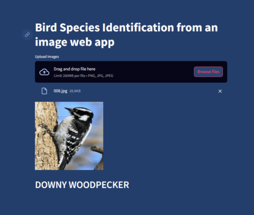 Image-Based Bird Species Identification Using Machine Learning